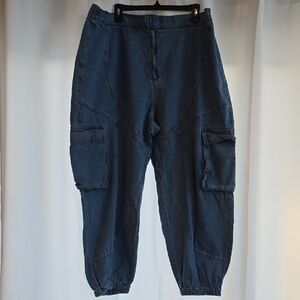 Forever 21 Light Blue Denim Pants